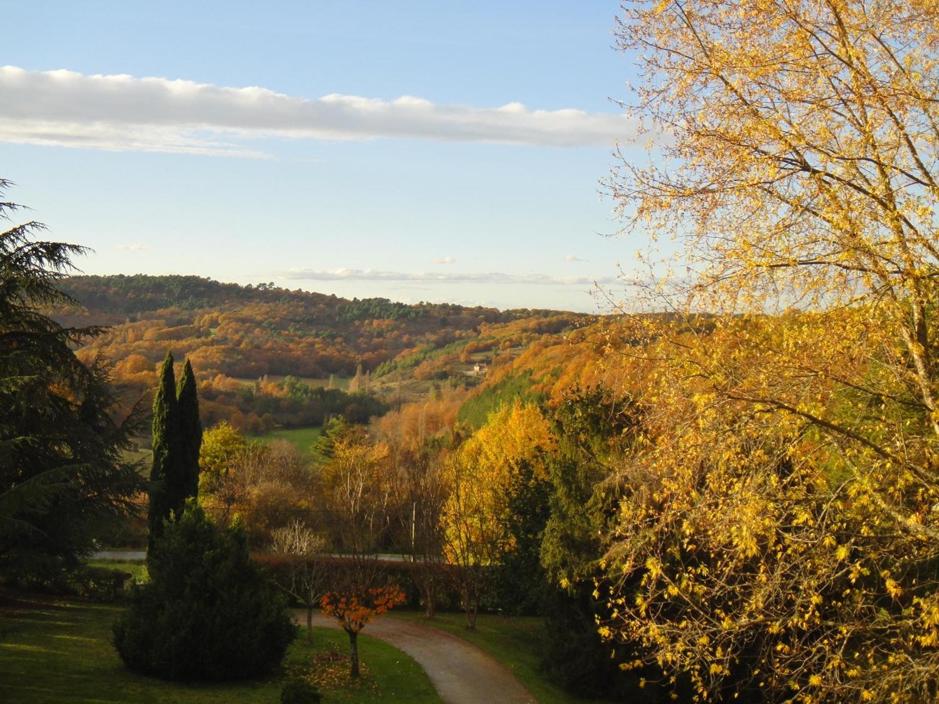 View (from property/room)