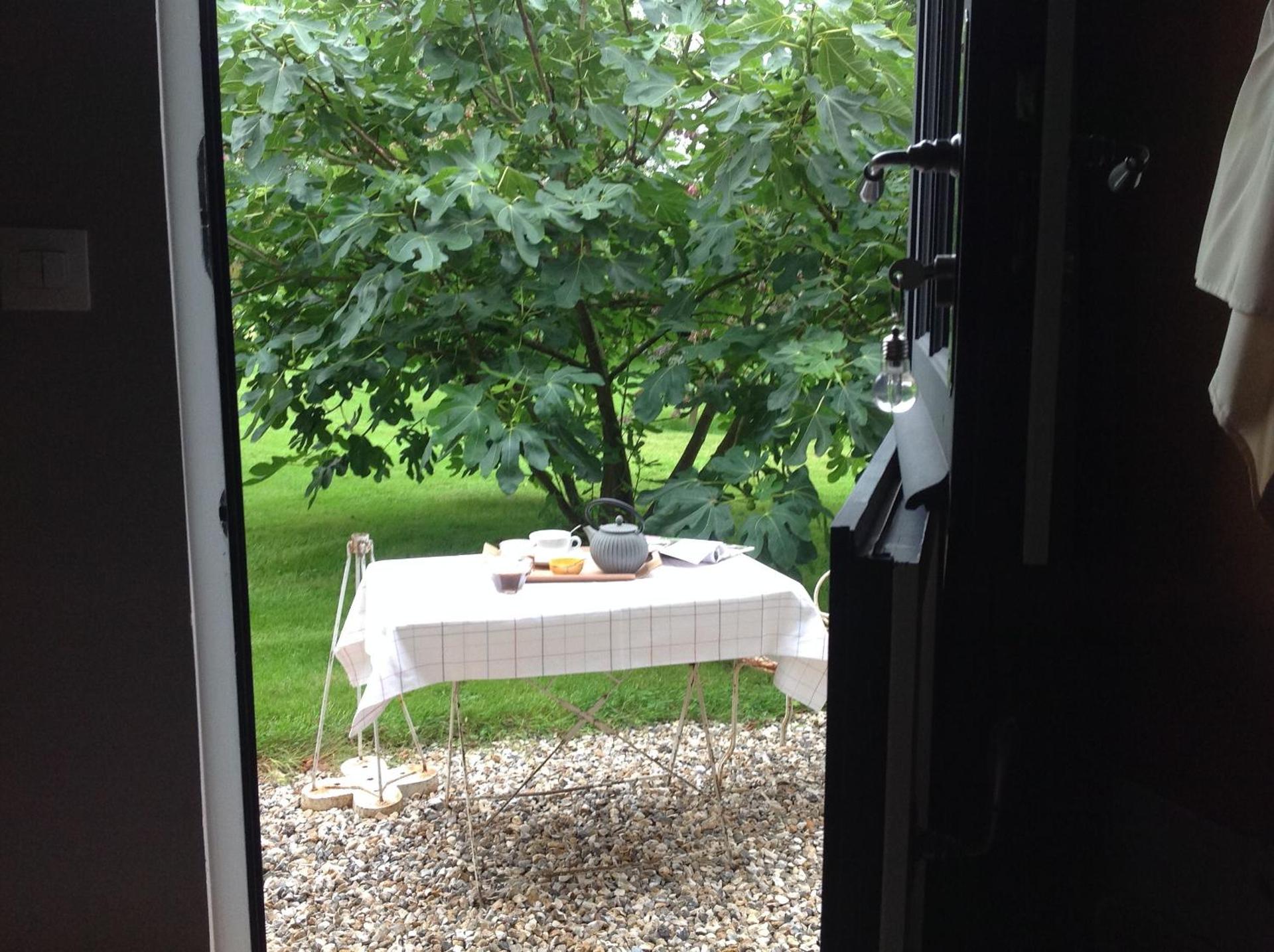 View (from property/room)