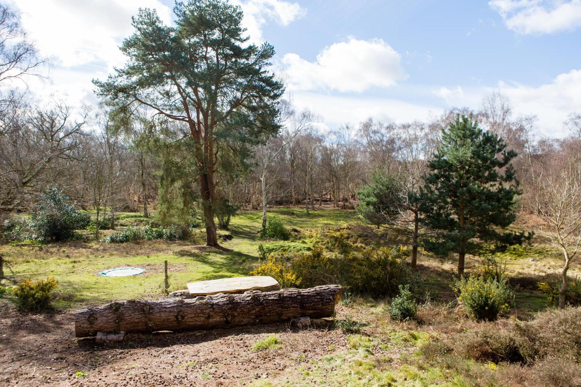 View (from property/room)