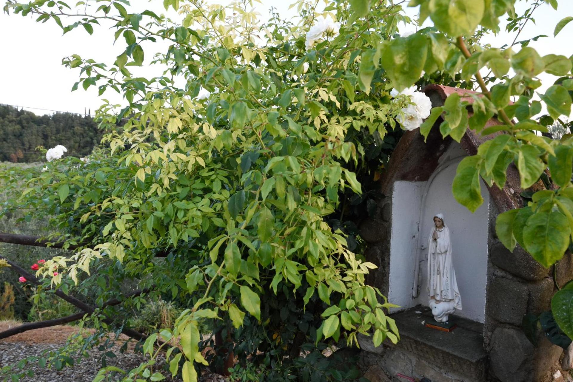 Logo/Certificate/Sign