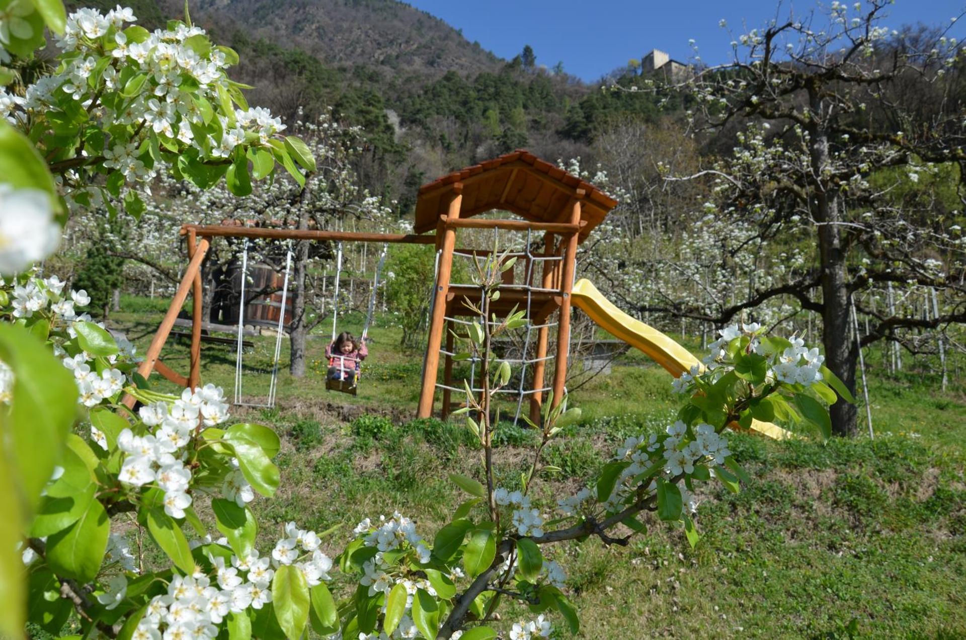 Children play ground