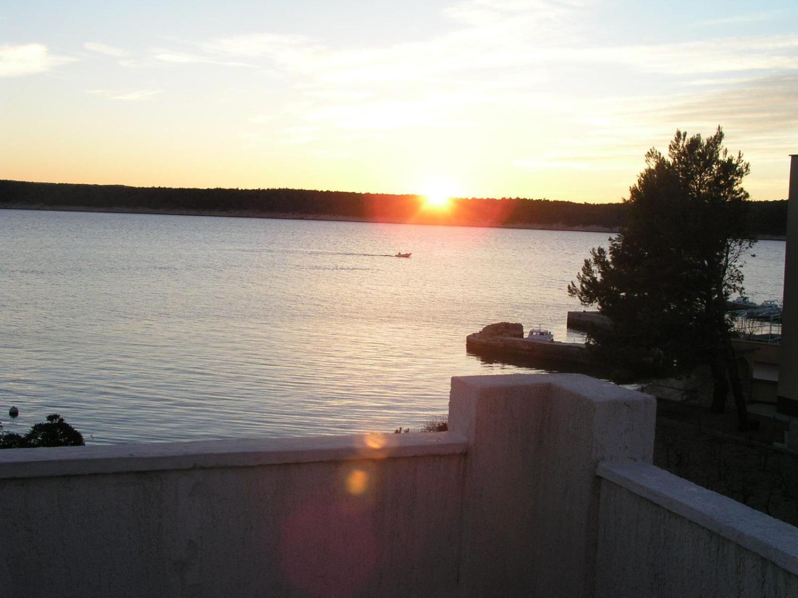 Comfort One-Bedroom Apartment