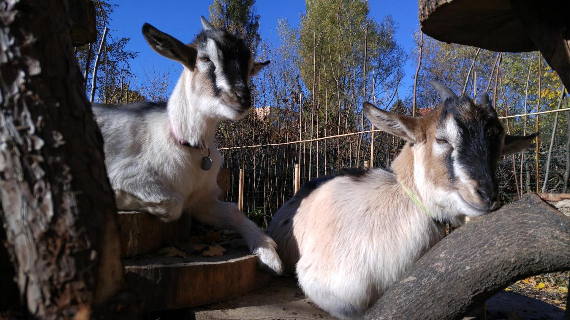 Children play ground