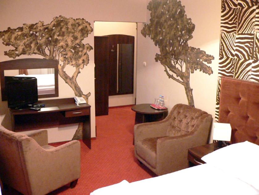 Photo of the whole room