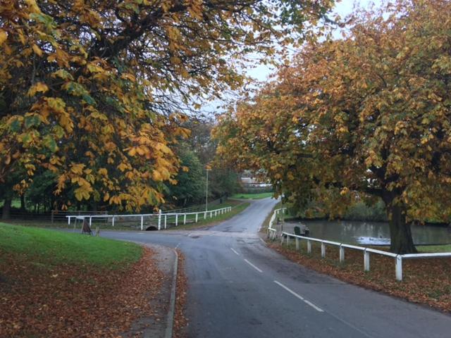 Scalby Grove Cottage