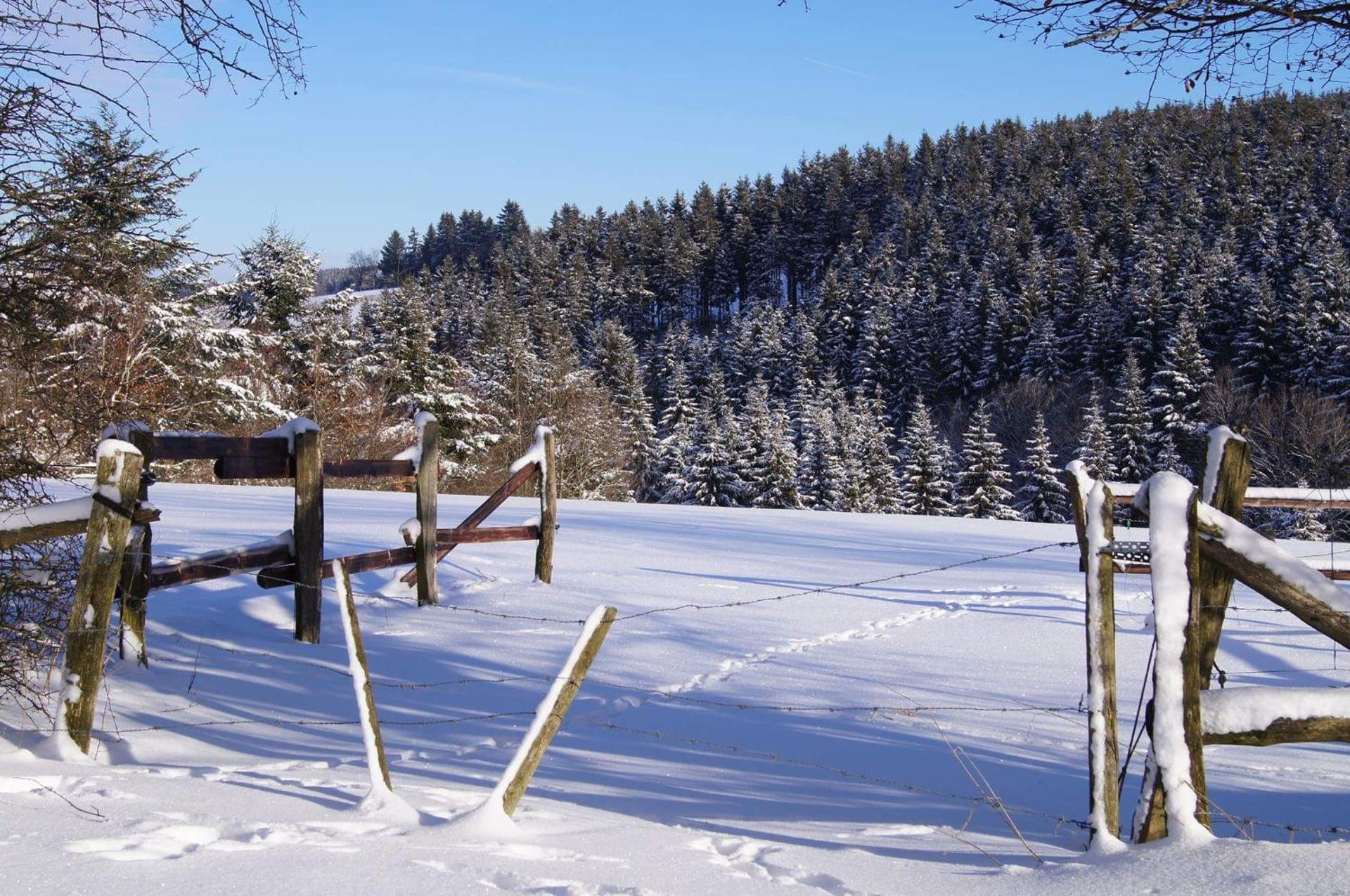 Chalet "A l Orée du bois"