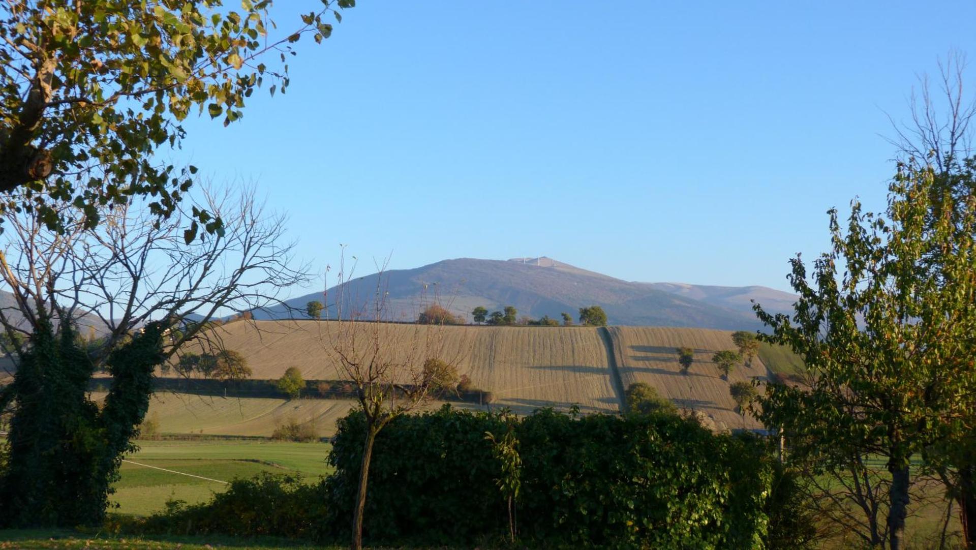 Appartamenti Albarosa by Holiday World