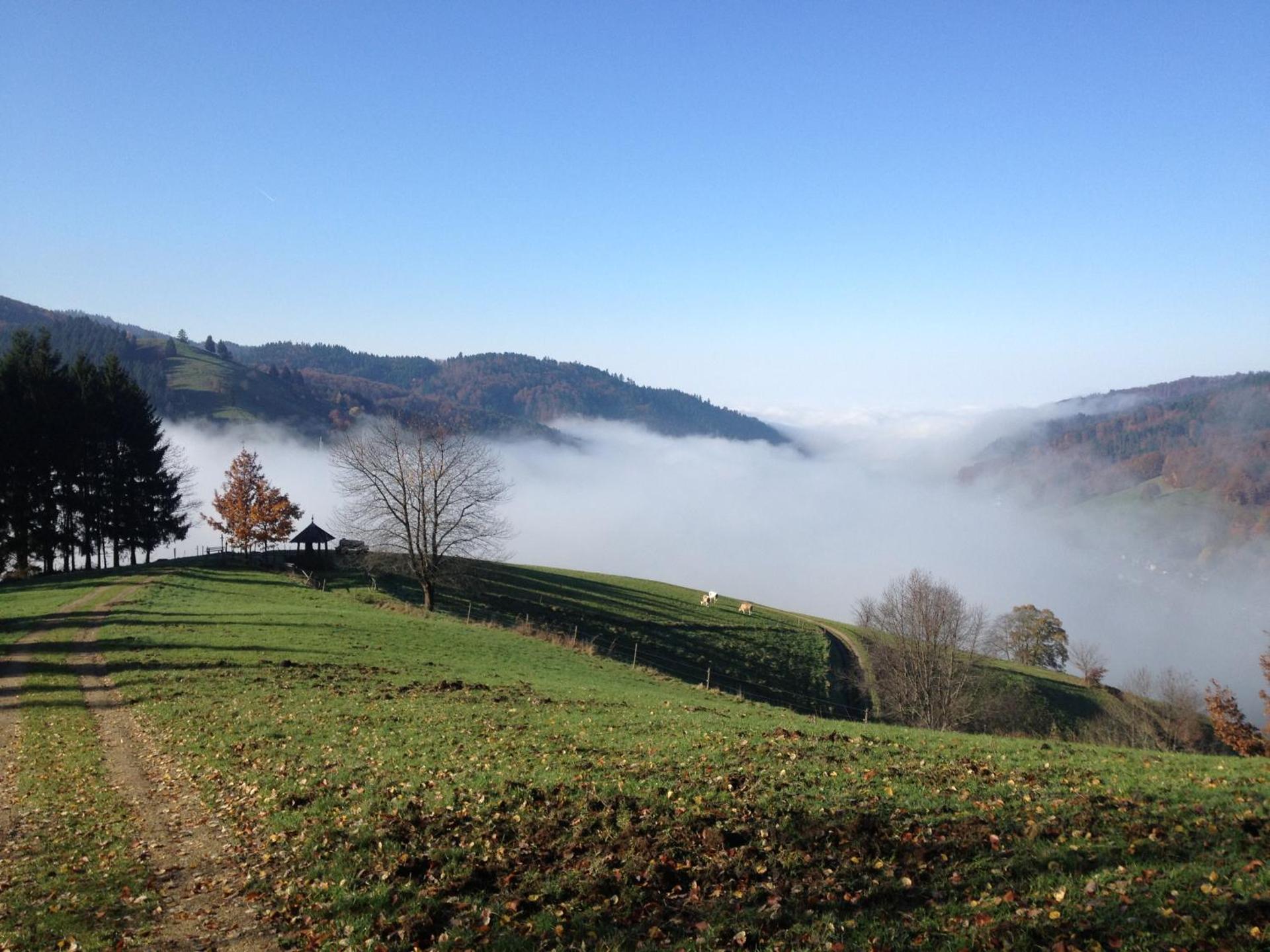 Gasthaus Zum Hirschen