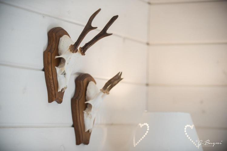 Chalet Le Grand Cerf