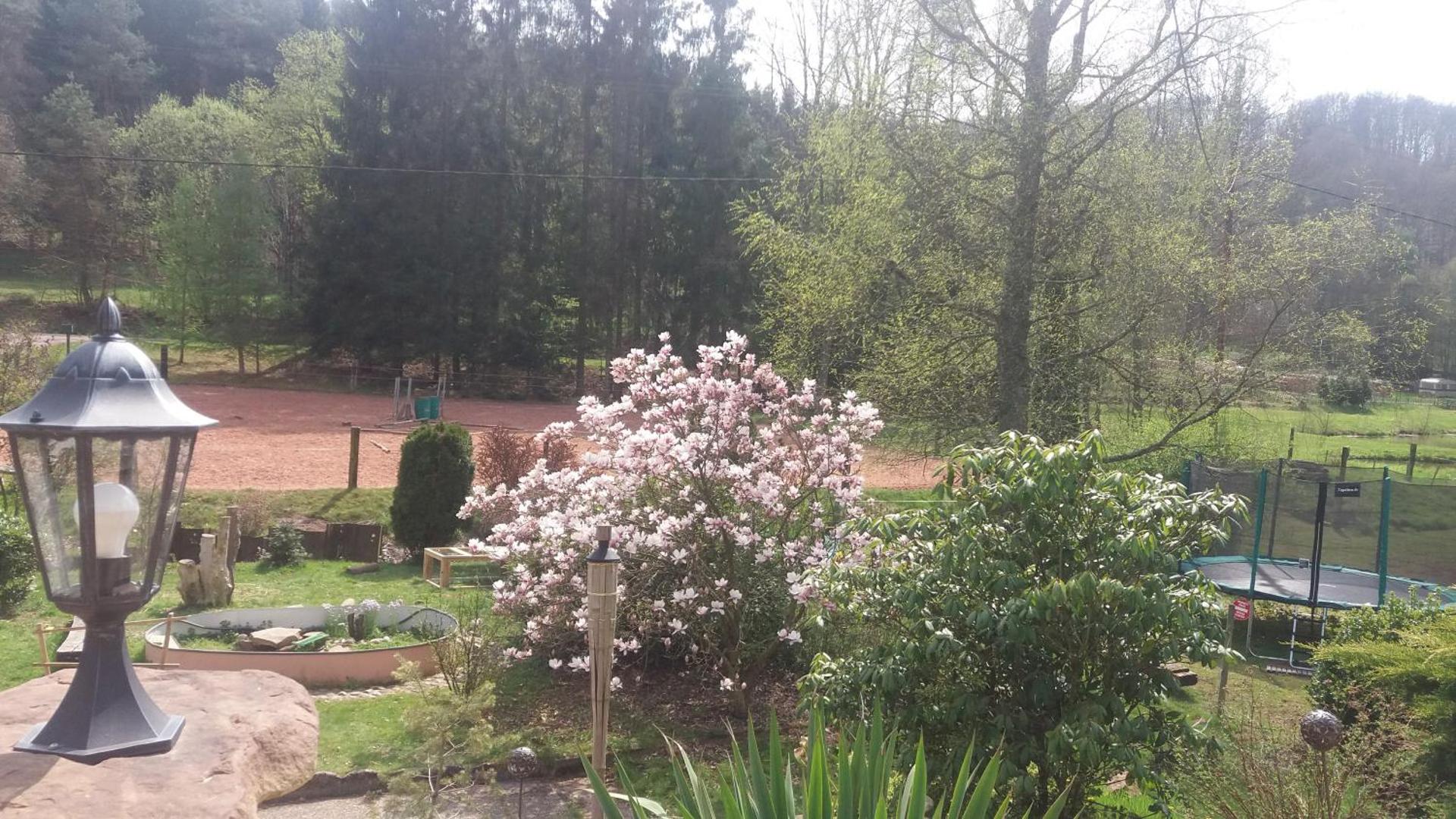 L'échappée verte - gîte equestre 5 pers