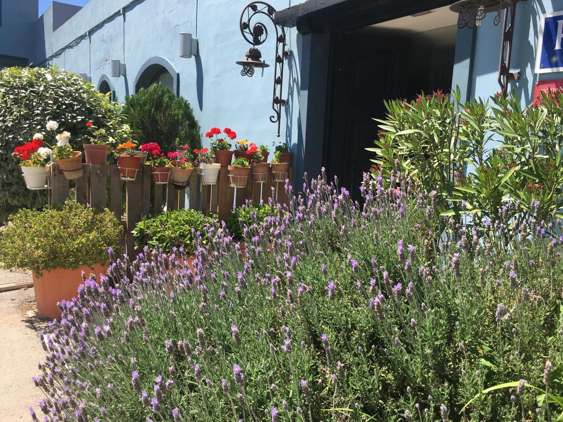 Hotel Patilla Ciudad de Requena