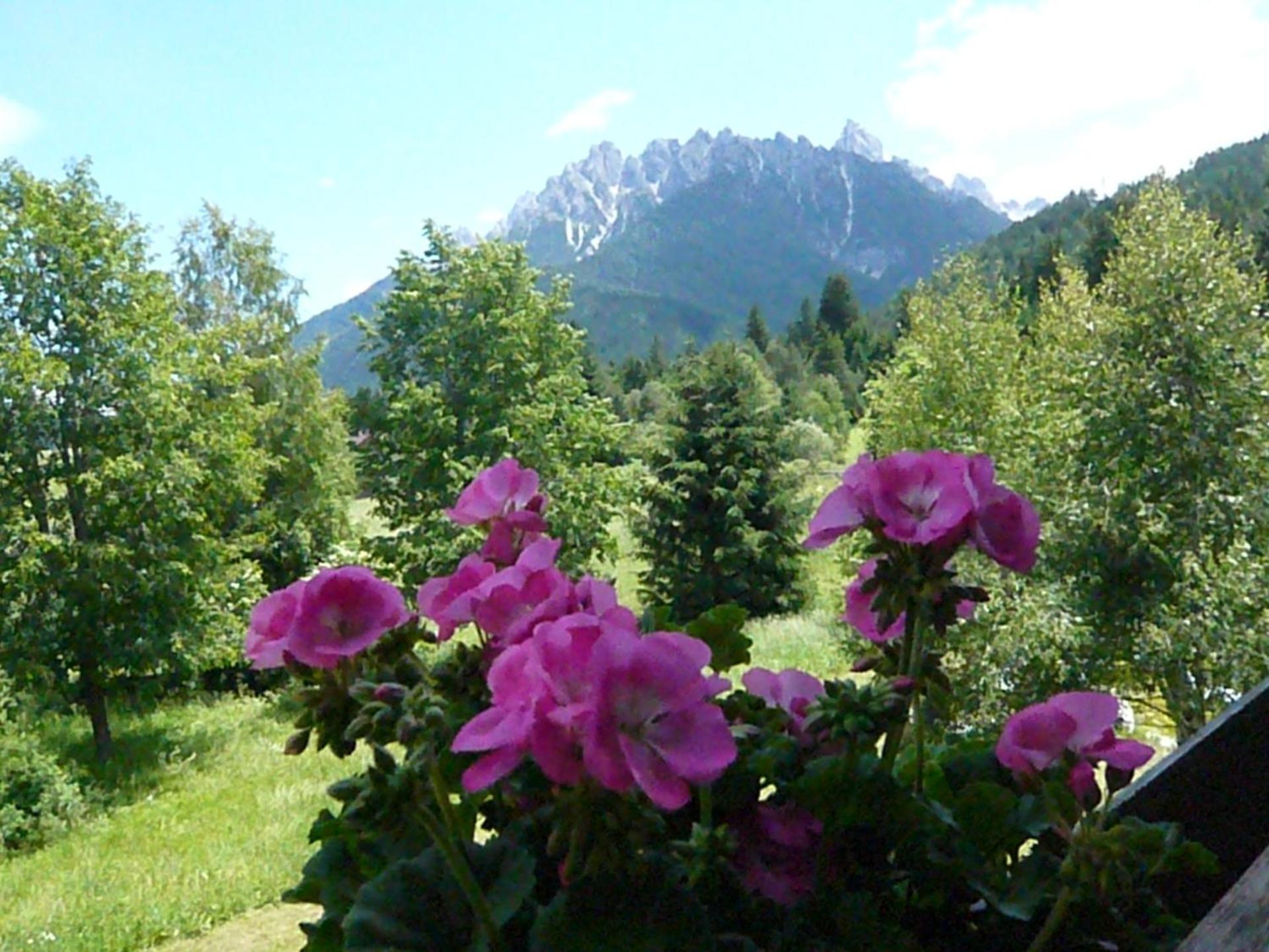 View (from property/room)