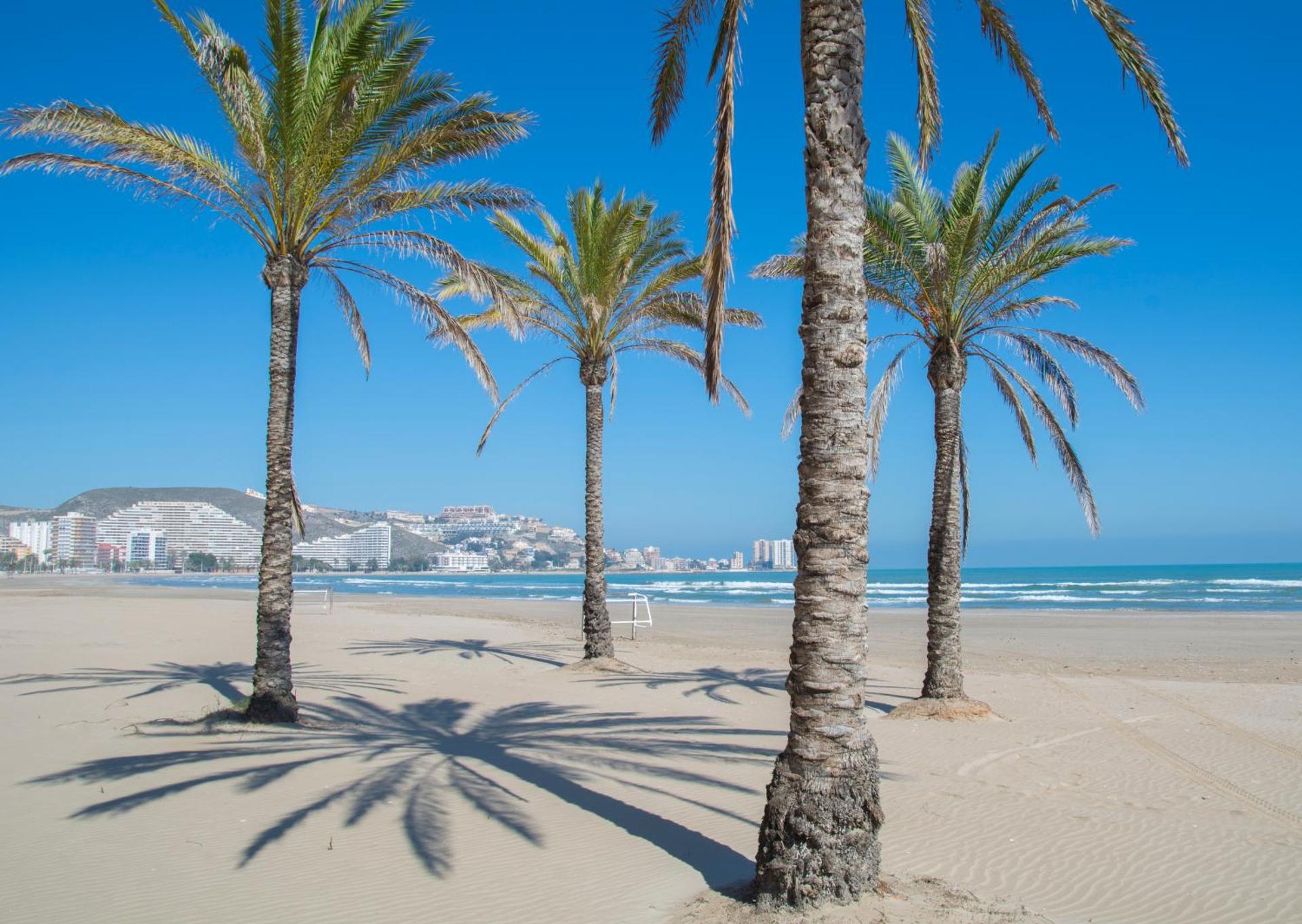 Apartamentos Florazar II Ajhory