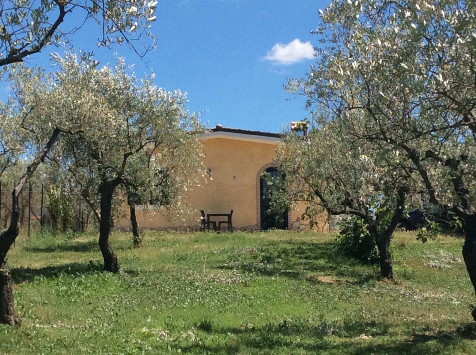 Il Girasole B&B