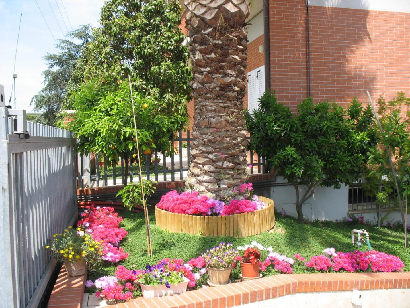 Bilde 7: Bed & Breakfast Bompadre