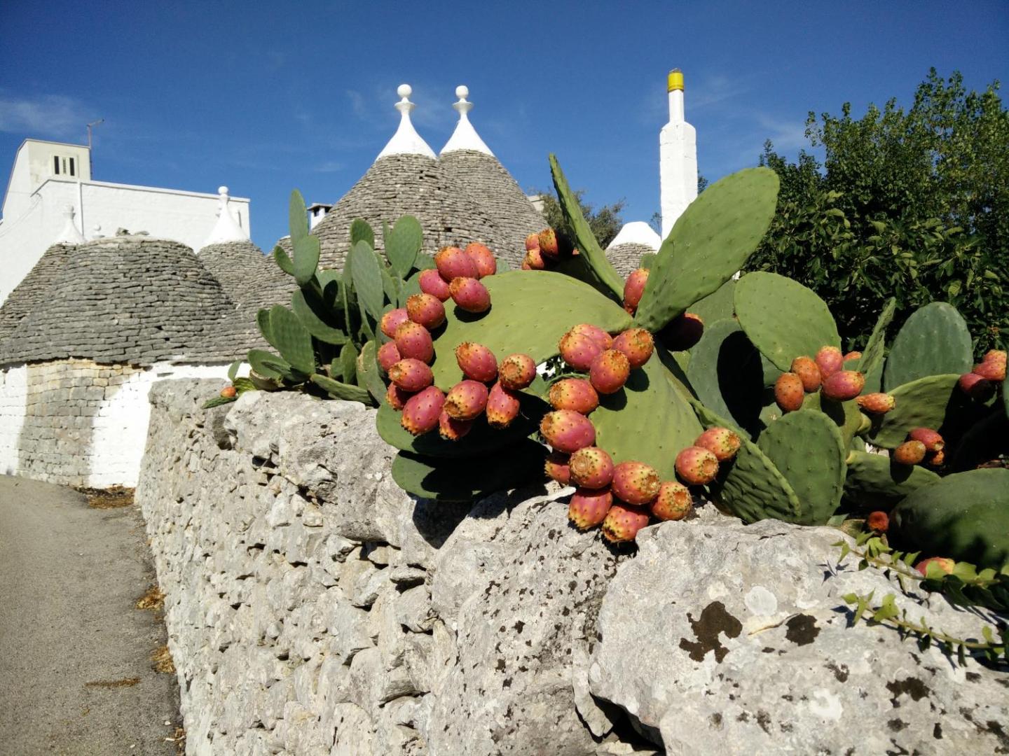 Billede 9: Bed & Breakfast La Collinetta
