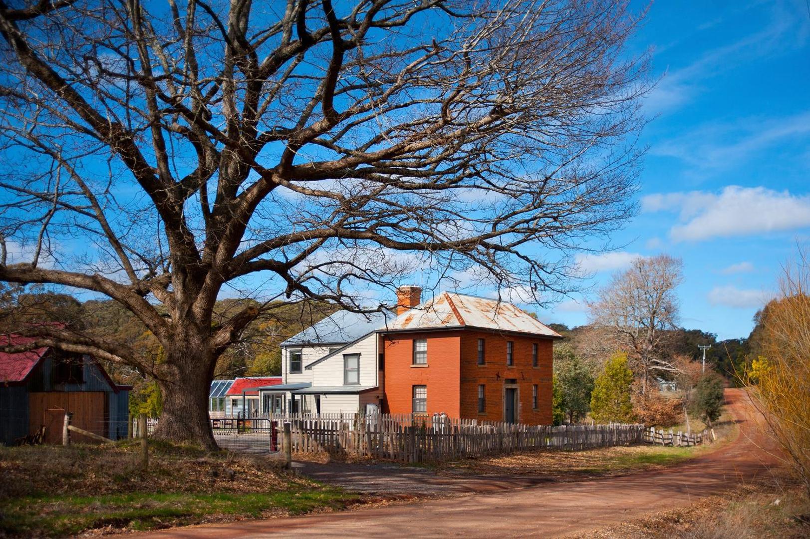 Photo 2 : Morgantis