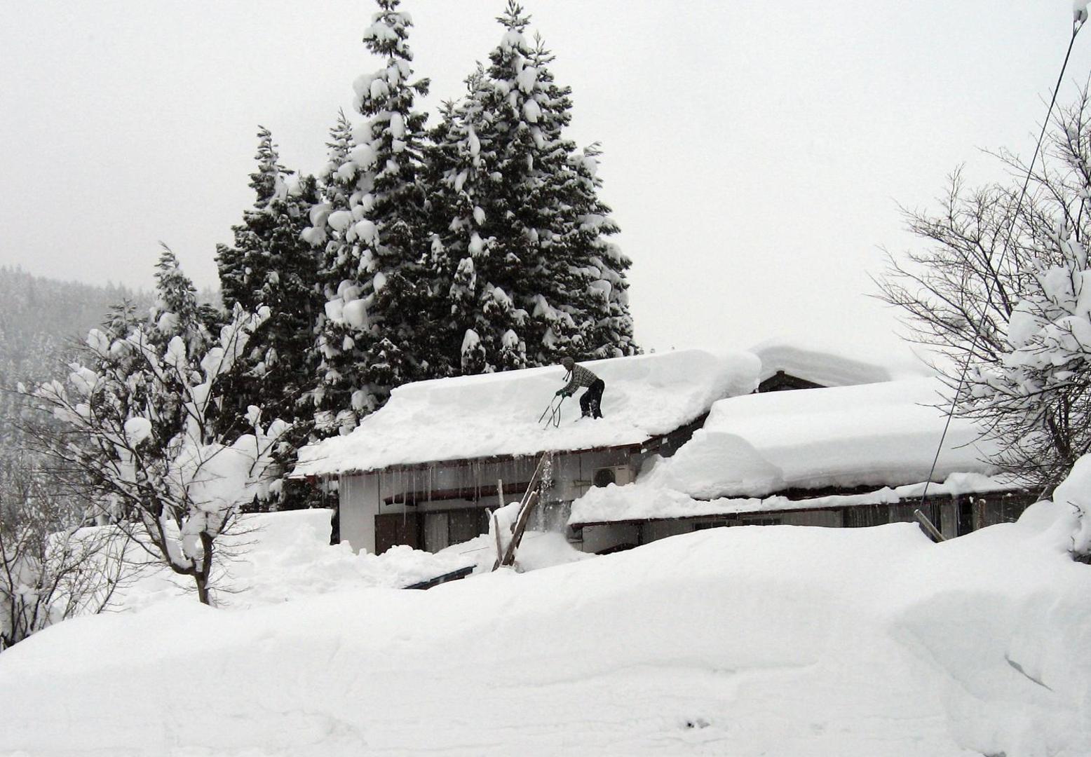 Foto 10: Kozaemon