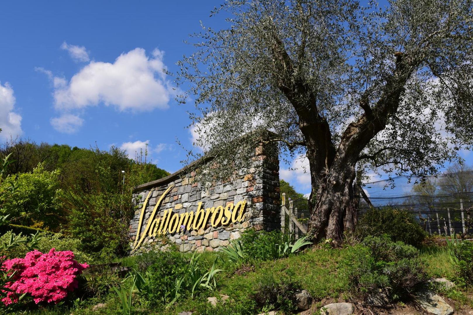 Foto 6: Wine & Art Relais Vallombrosa
