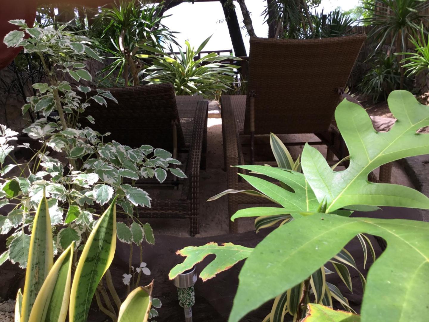 Bilde 7: Sun & Sea Home Stay