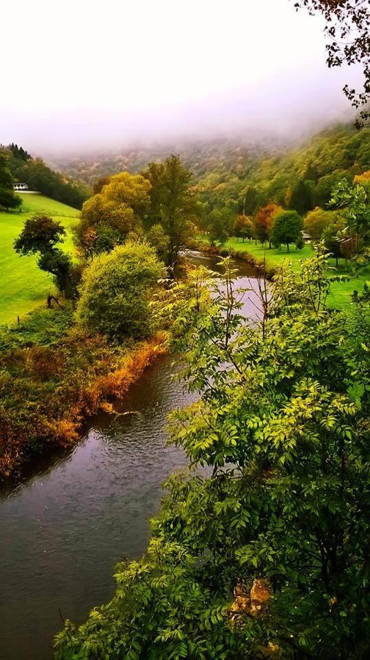 Foto 6: LeafMaxi - Camping du Nord