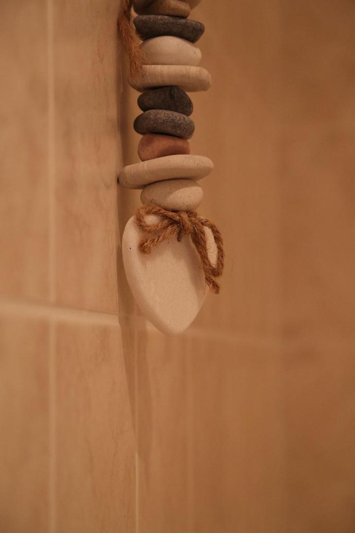 Photo 10 : Seashells