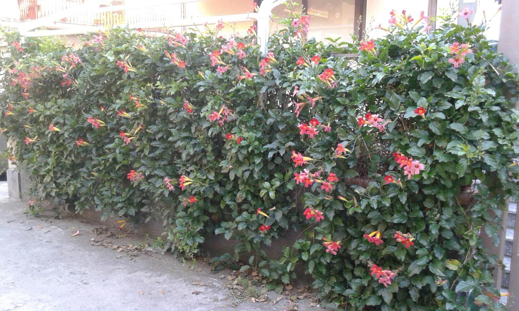 Foto 9: Eurelios