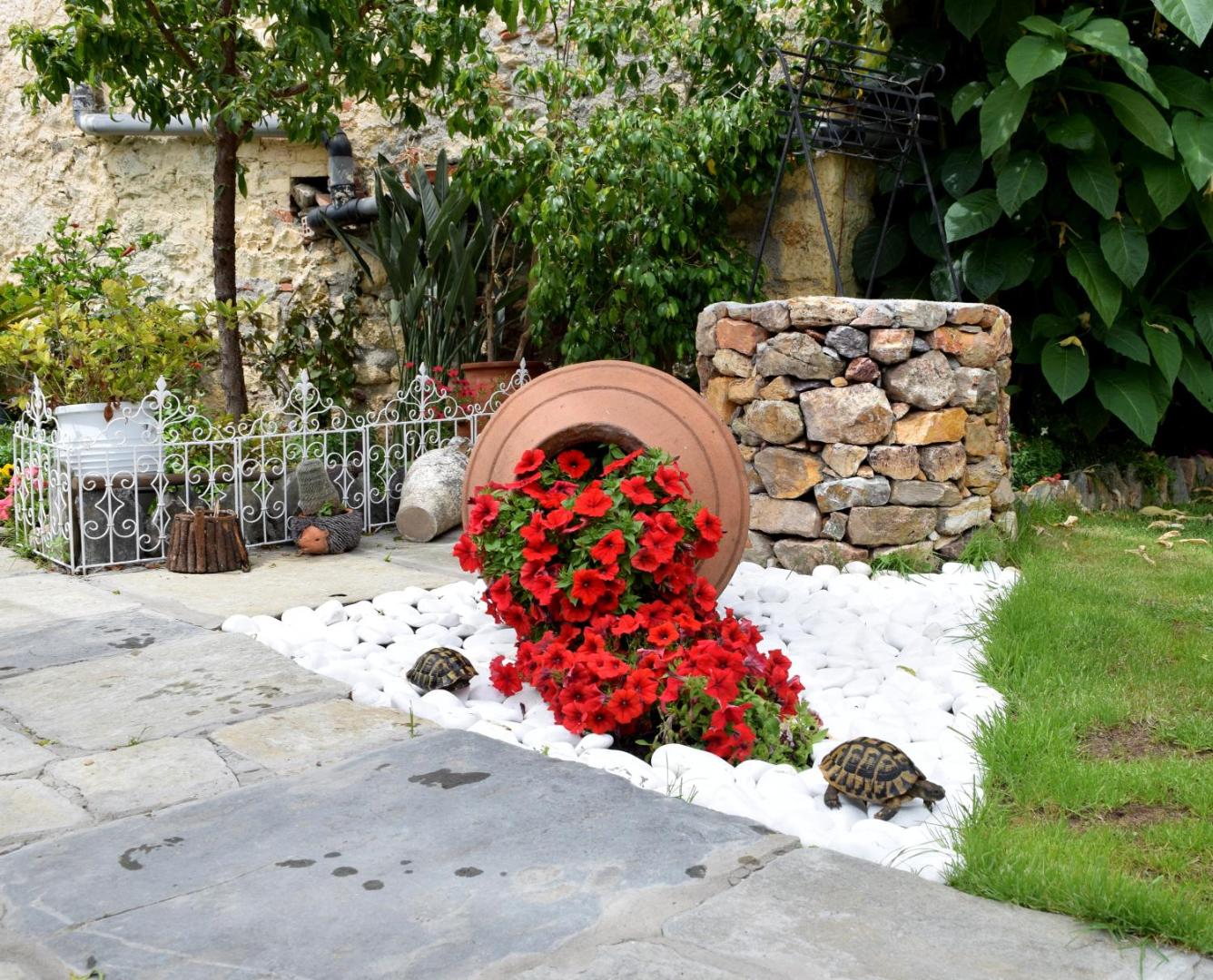 Foto 6: Studios Asteria