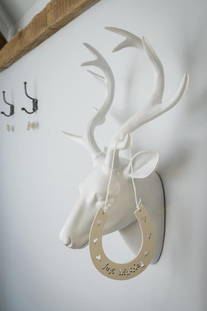 Bild 9: Shellbraes Studio