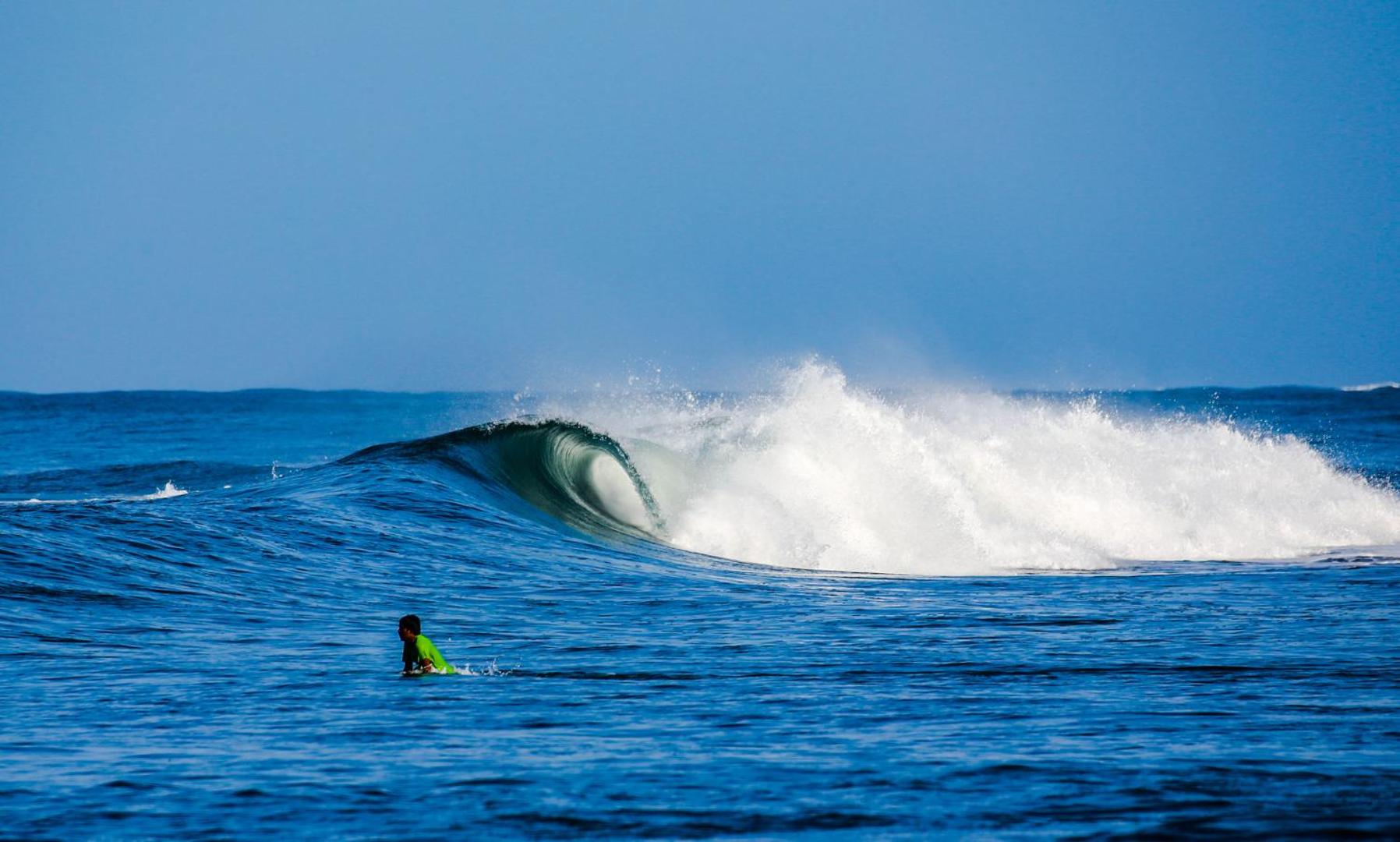 Photo 8 : Tapas & Surf