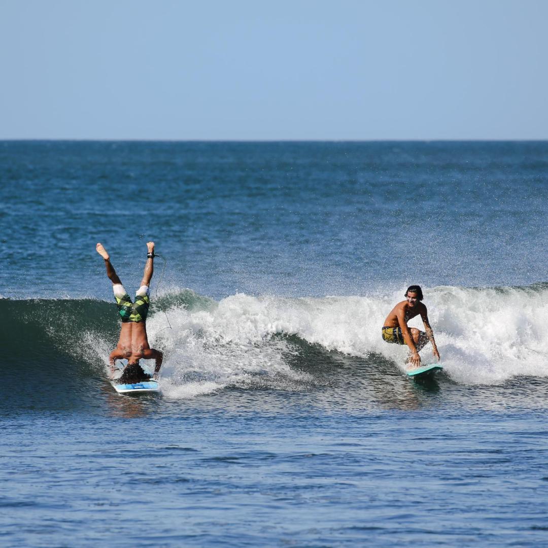 Photo 10 : Tapas & Surf