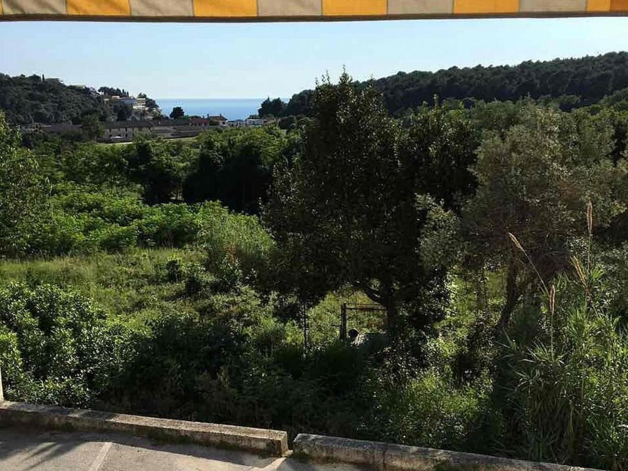 Φωτογραφία 3: Studio Irena 33048