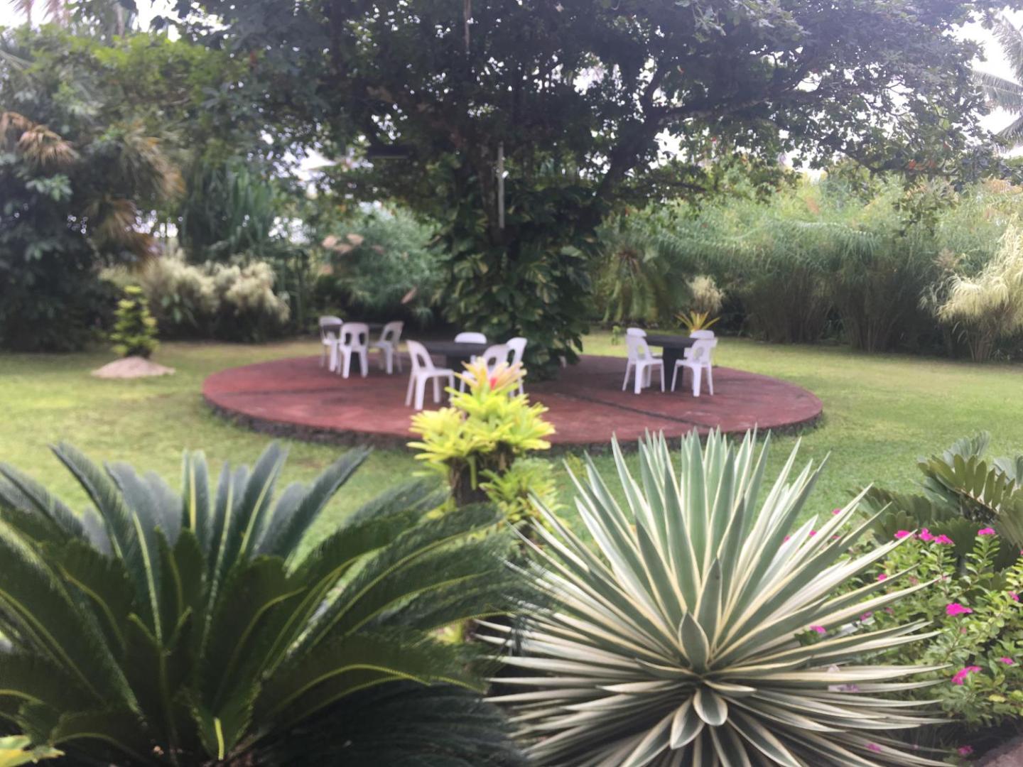 Billede 2: Stevensons at Manase