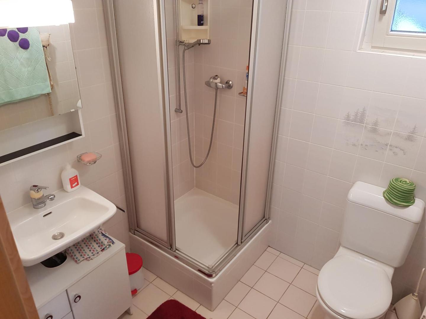 Foto 7: Big flat in the heart of Valais