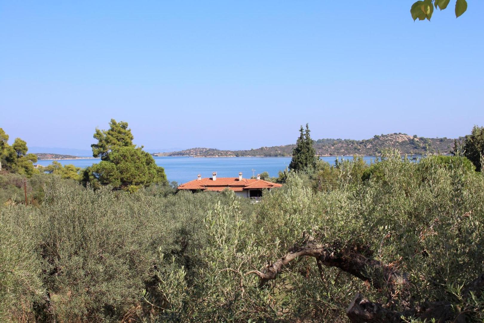 Foto 5: PHILIPPOS 2