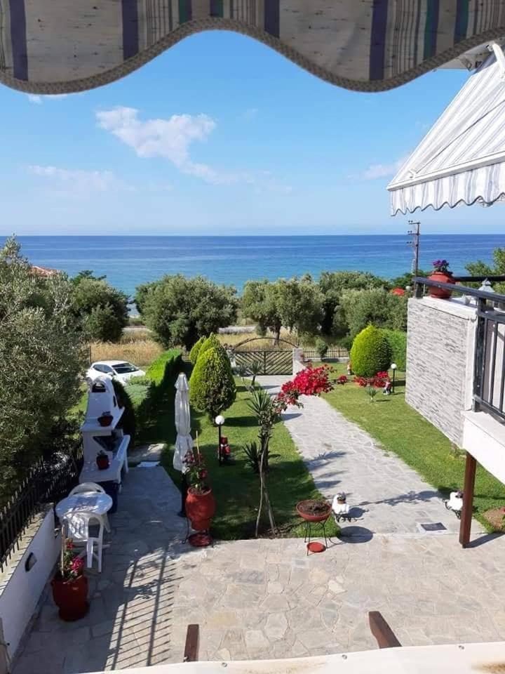 Billede 3: Ianos