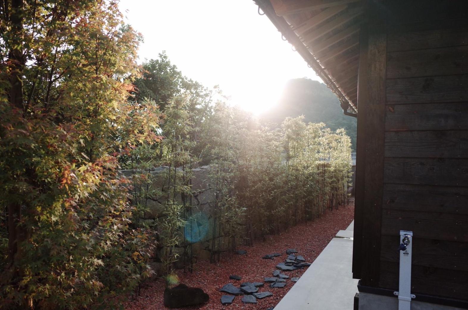 Foto 6: Okune