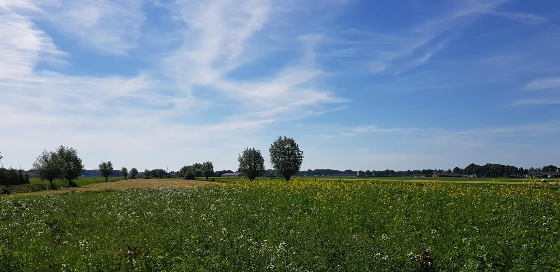 Billede 10: Bed & Breakfast De Heughte