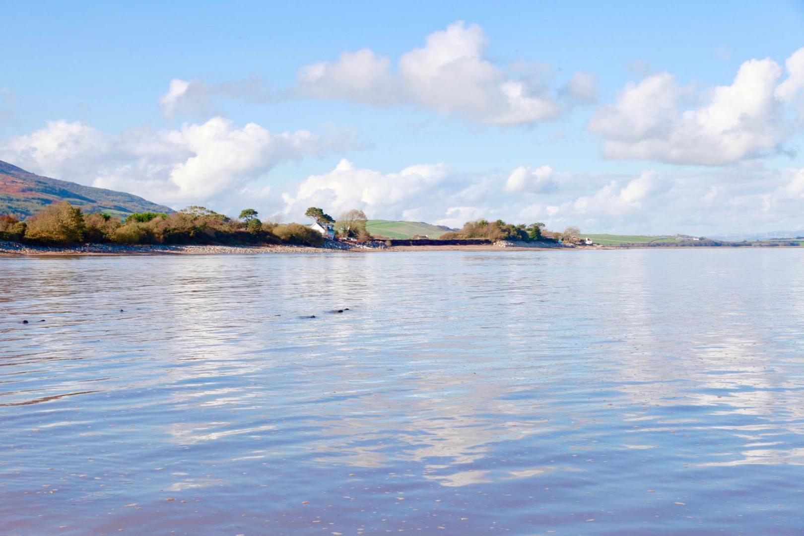 Zdjęcie 10: Lapwing, Skylark & Curlew Seaside Chalets