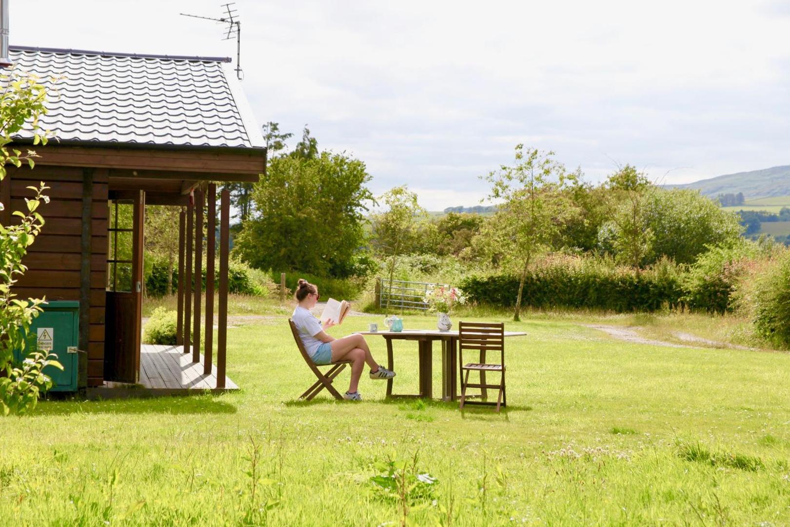 Zdjęcie 5: Lapwing, Skylark & Curlew Seaside Chalets