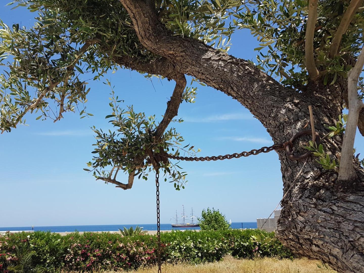 Kuva 5: Bed & Breakfast del Faro