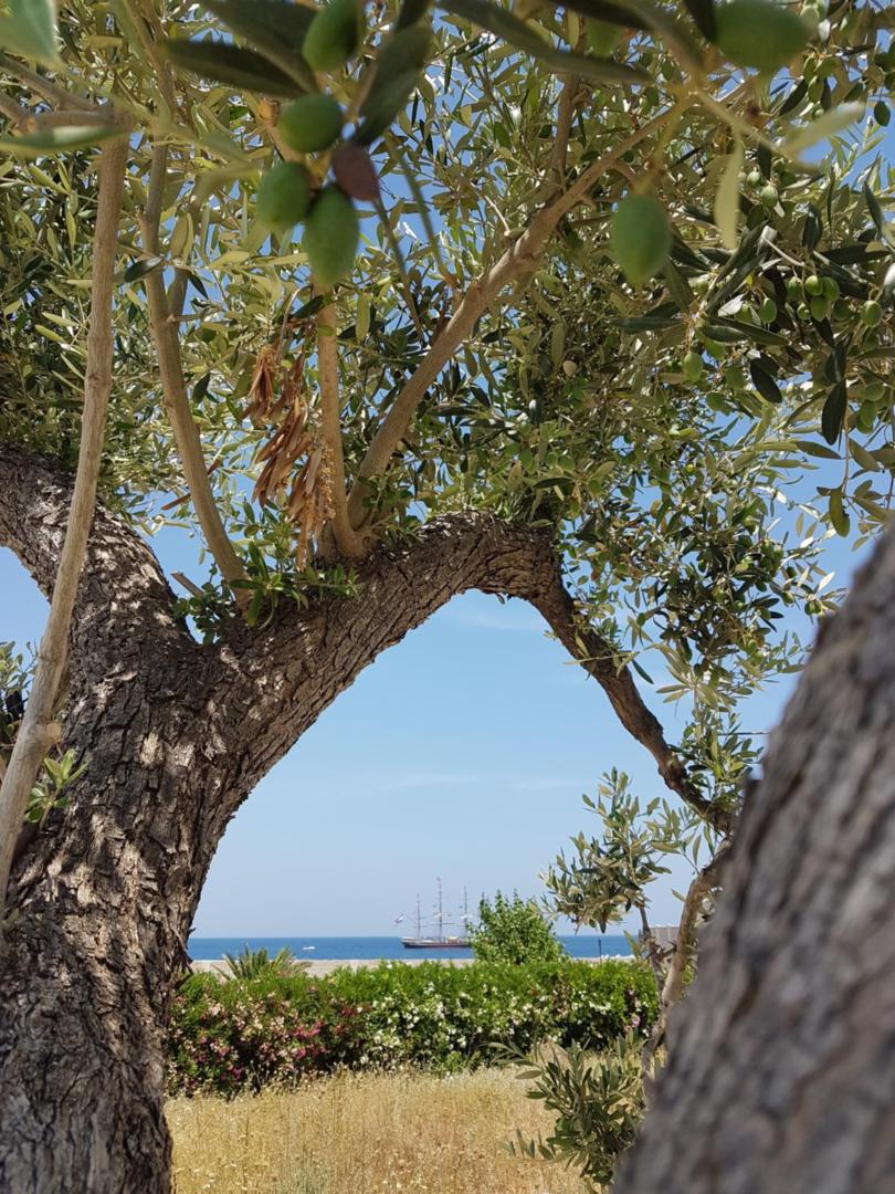 Kuva 4: Bed & Breakfast del Faro