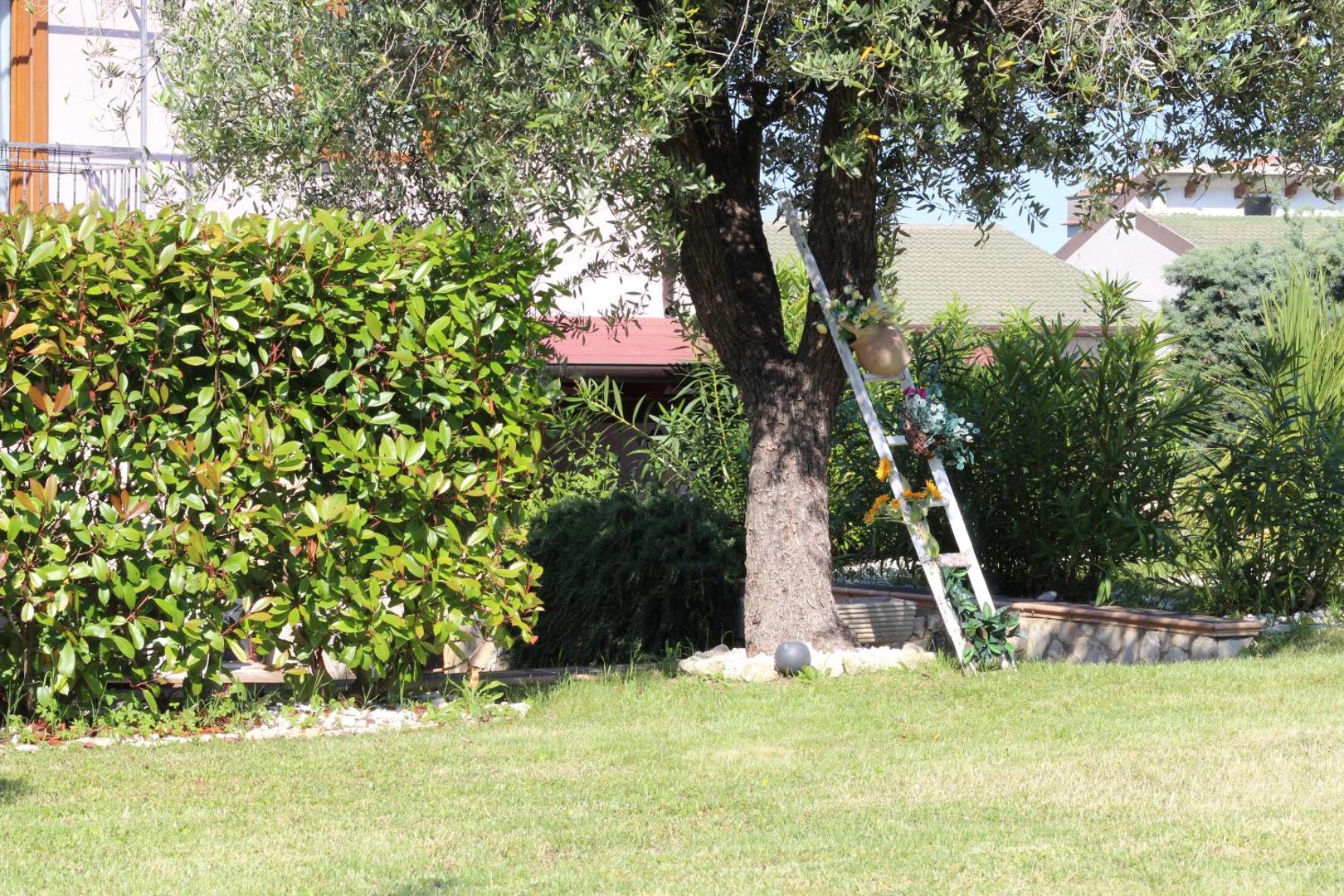 Photo 9 : Bed & Breakfast Mafi