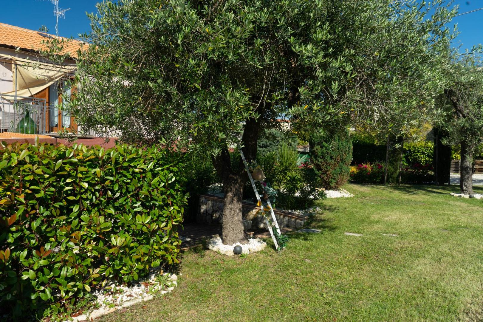 Photo 10 : Bed & Breakfast Mafi