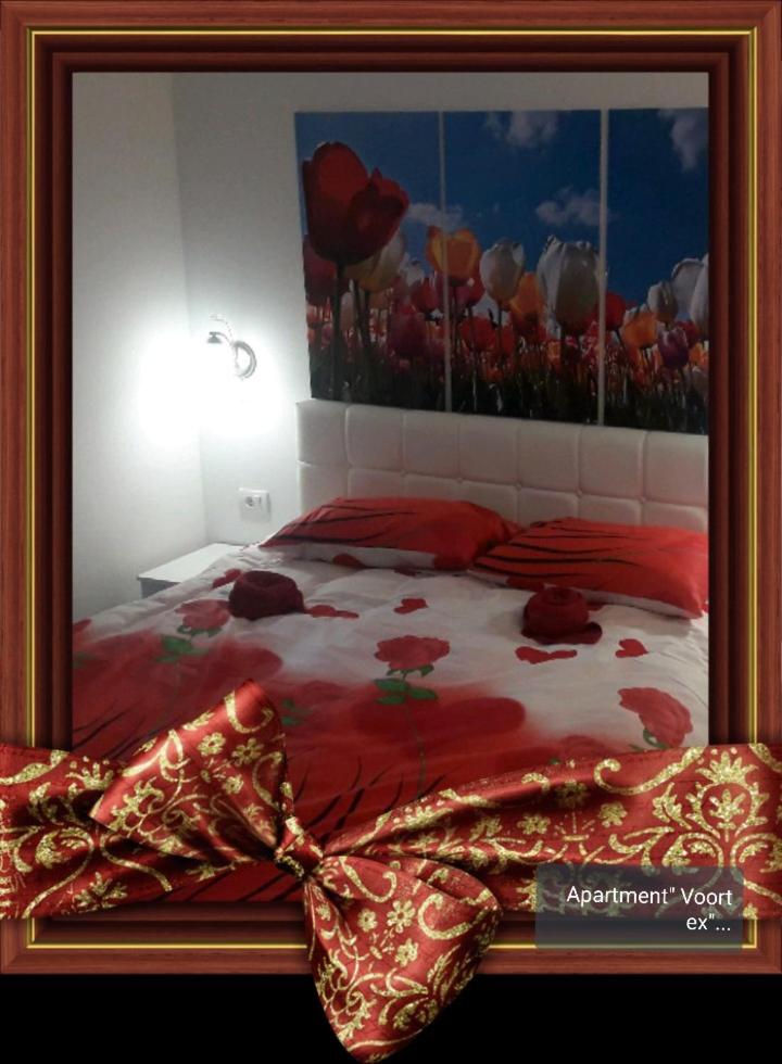 Photo 3 : Apartment Voortex
