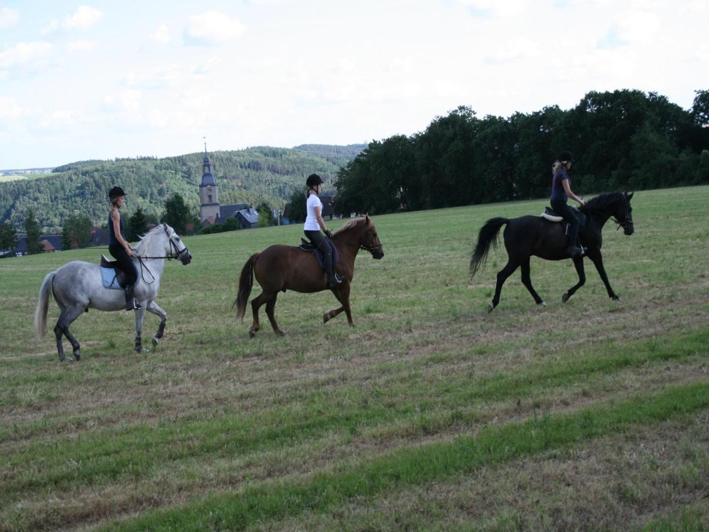 Bilde 2: Pferd - Spaß - Entspannung