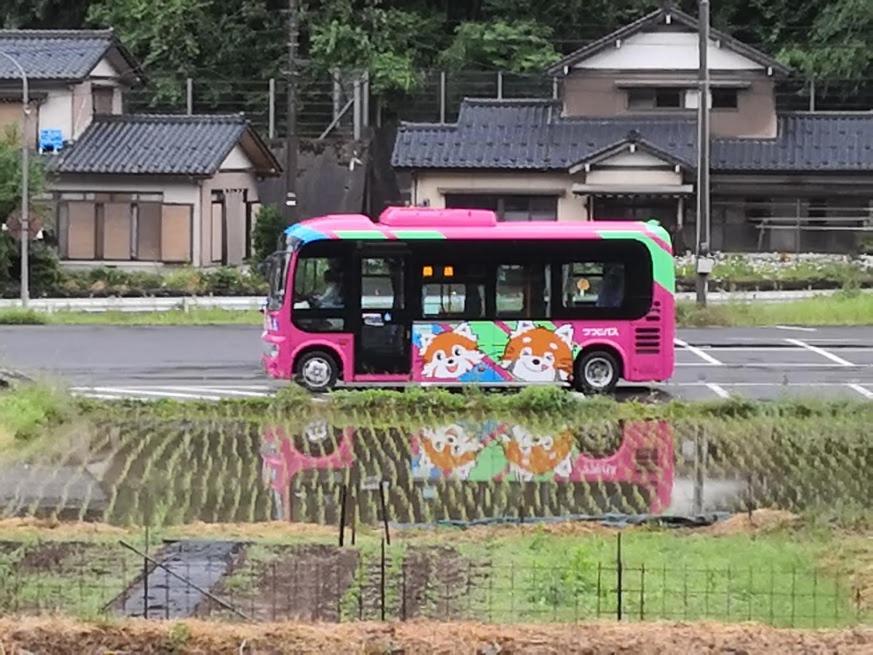 田舎生活体験福井県観光者向け古民家的照片9