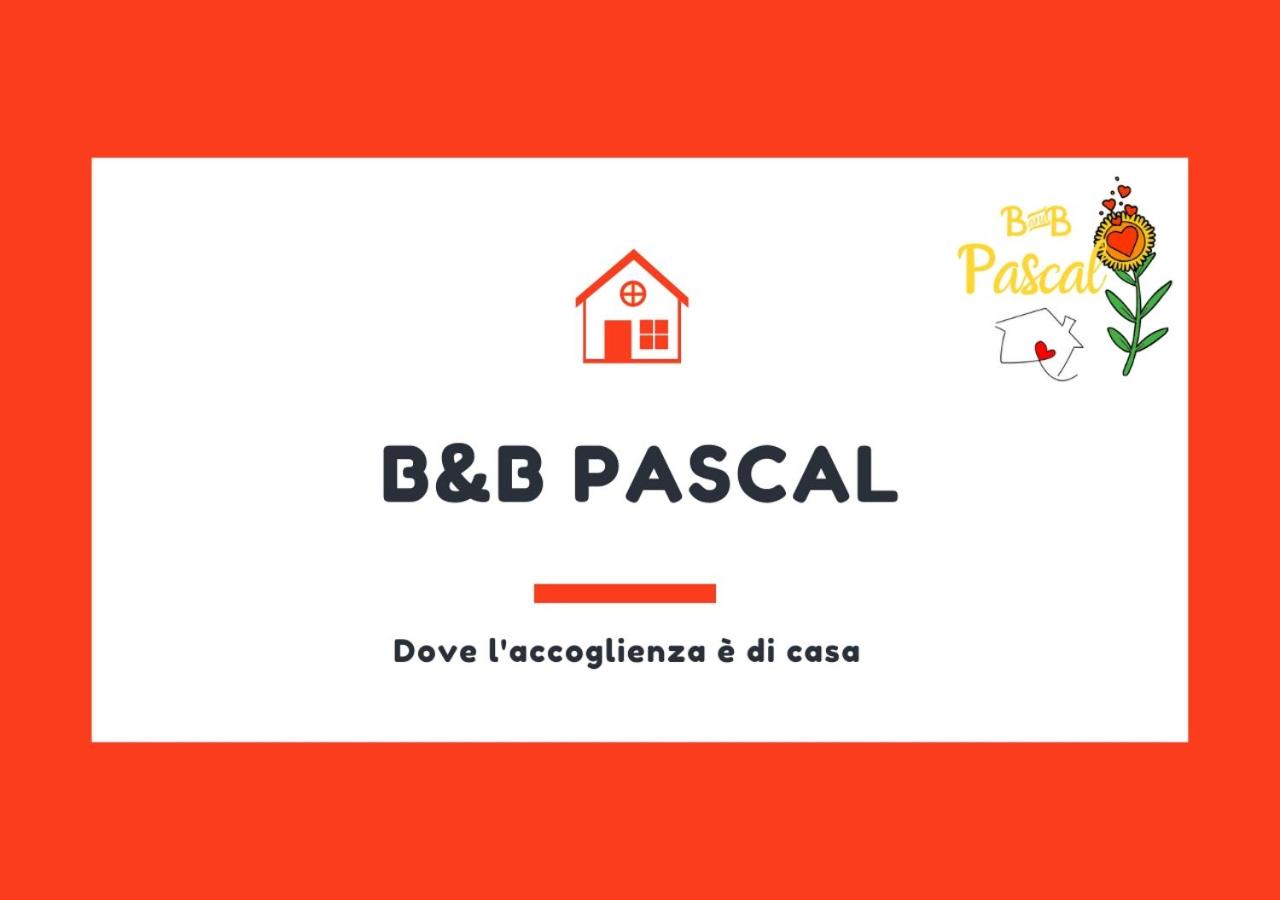 Billede 2: B&B Pascal