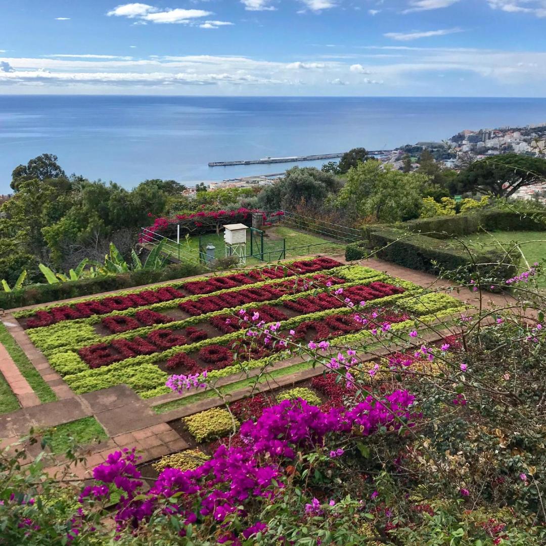 Bilde 8: Sol & Mar Camara de Lobos
