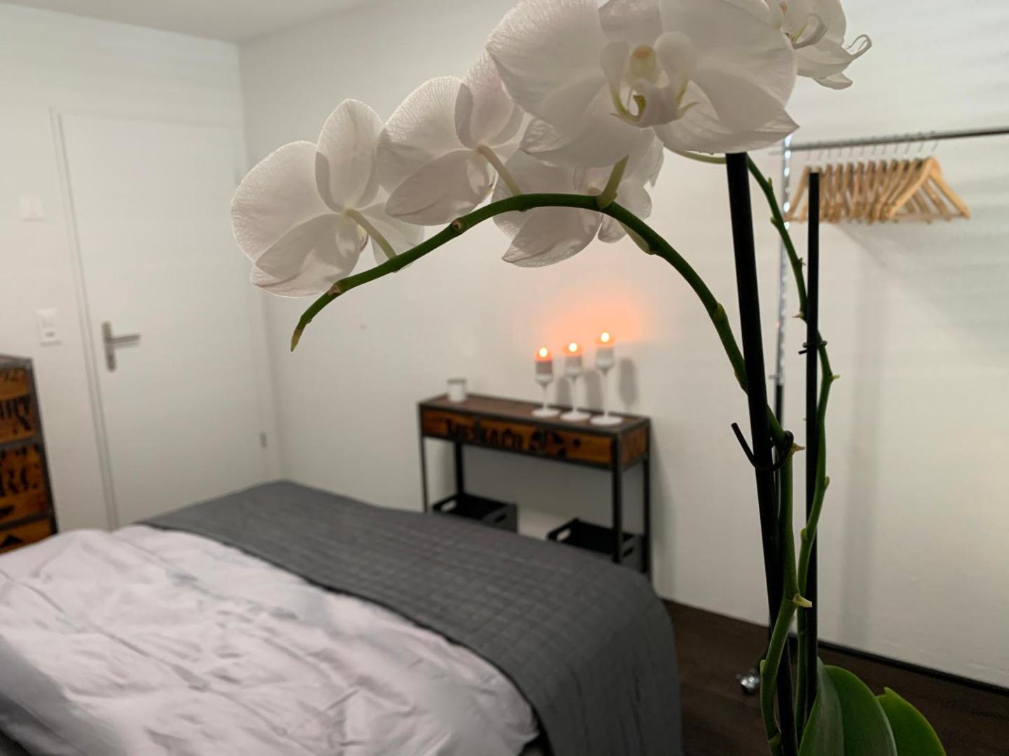 Bilde 4: Central & Elegant Room in Biel